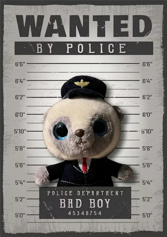 Arrestfoto: Kapteinbjørn