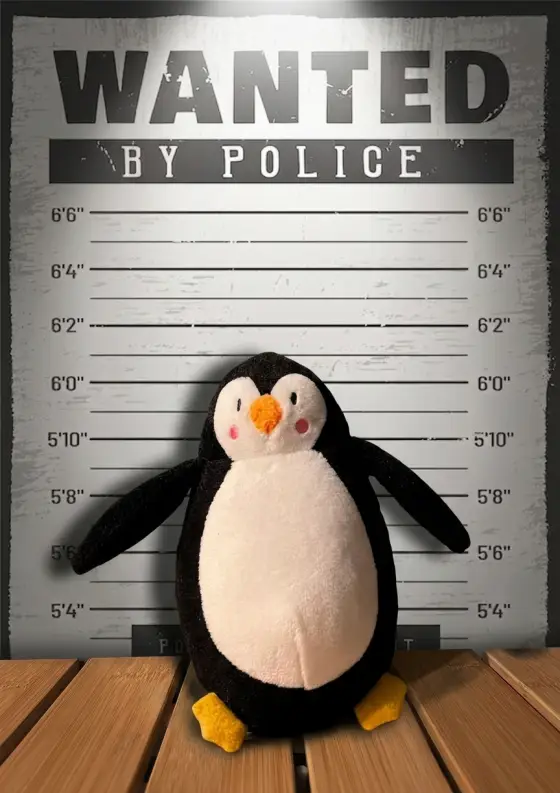 Arrestfoto: Pinngvinn