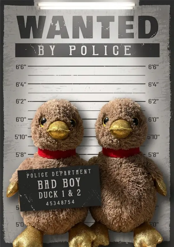 Arrestfoto: Perry og Cherry
