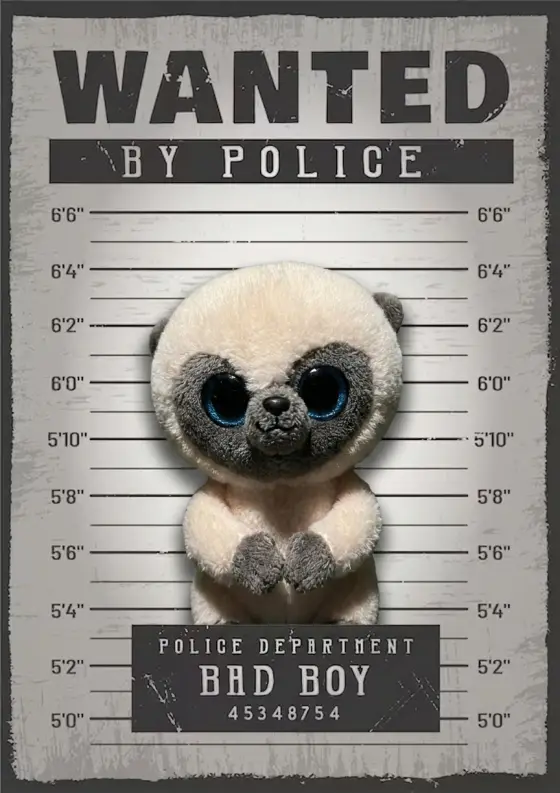 Arrestfoto: Gigabjørn (?)