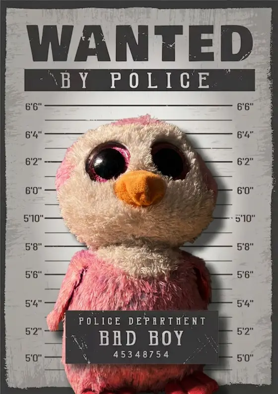 Arrestfoto: Mammapingeline