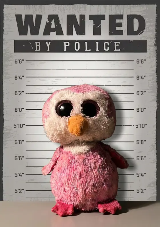 Arrestfoto: Pingeline