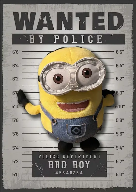 Arrestfoto: Bob