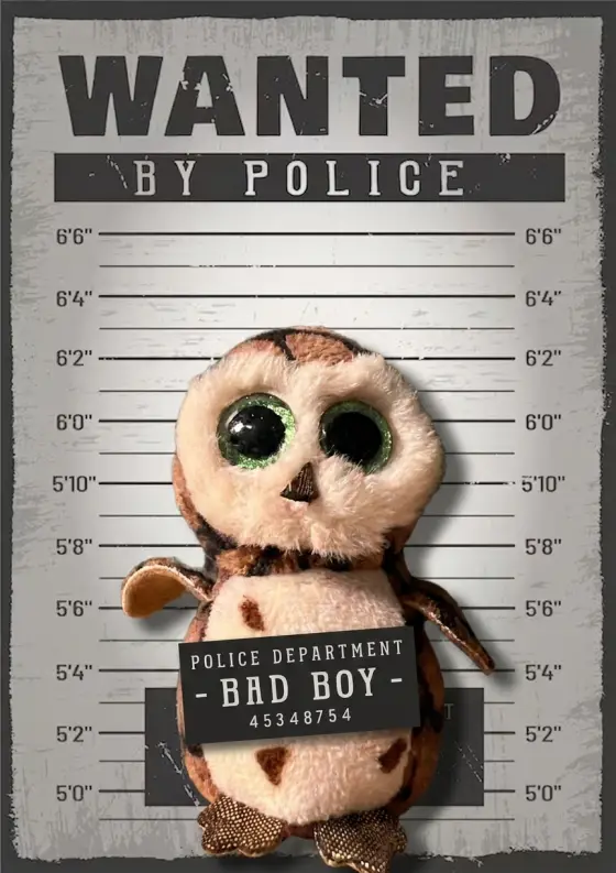 Arrestfoto: Miniolga (?)