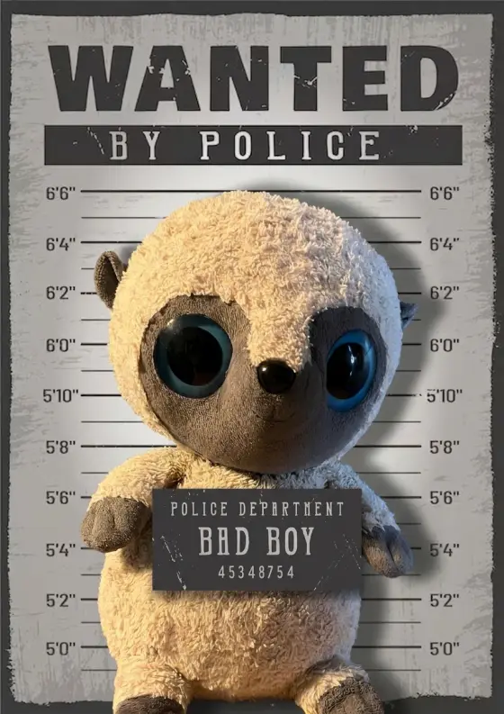 Arrestfoto: Bittelillebjørn