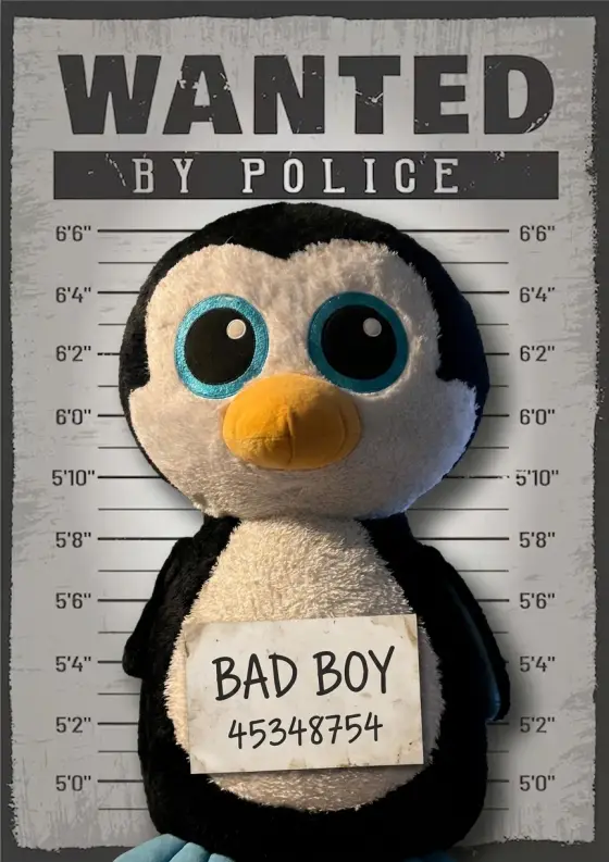 Arrestfoto: Bestefarpinge