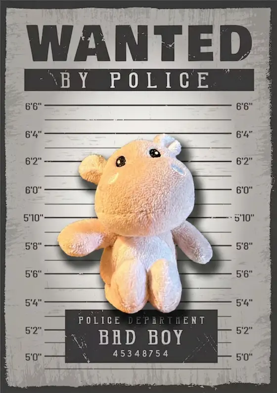 Arrestfoto: ukjent mistenkt