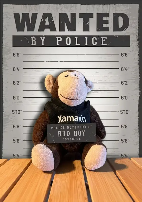 Arrestfoto: ukjent mistenkt