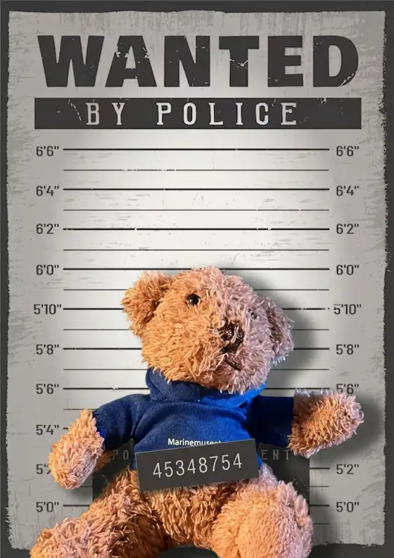 Arrestfoto: ukjent mistenkt