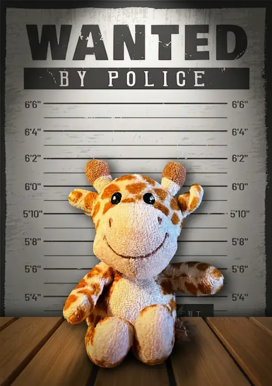 Arrestfoto: ukjent mistenkt