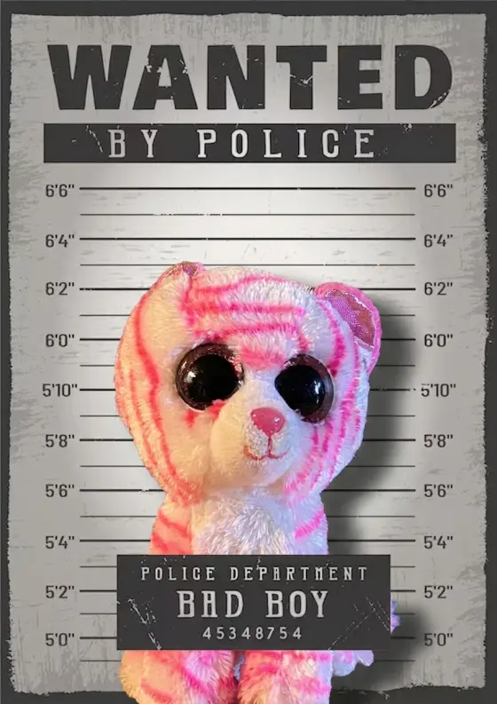 Arrestfoto: ukjent mistenkt