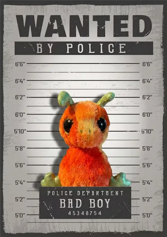 Arrestfoto: ukjent mistenkt