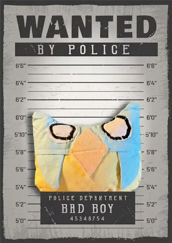 Arrestfoto: Angry bird (?)