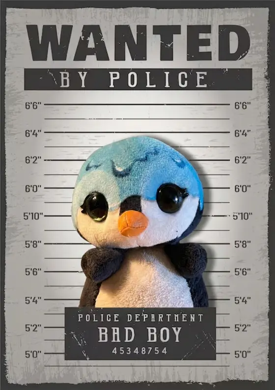 Arrestfoto: Gelétopp