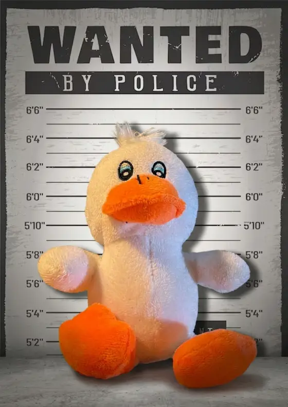 Arrestfoto: ukjent mistenkt