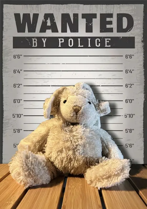 Arrestfoto: ukjent mistenkt