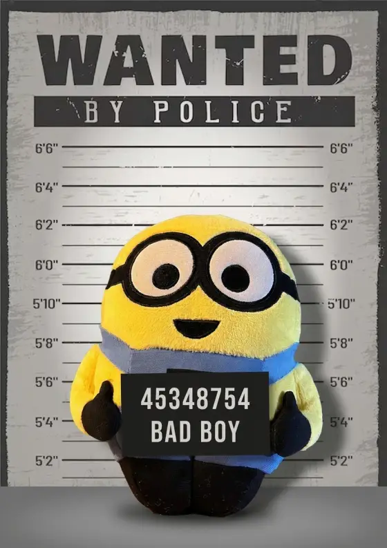 Arrestfoto: Bob
