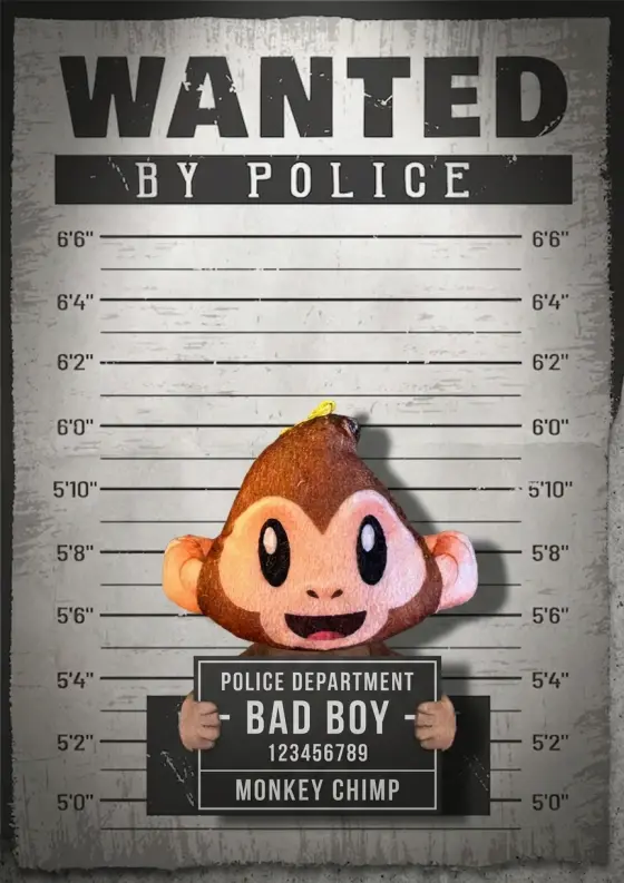 Arrestfoto: Smileape 2