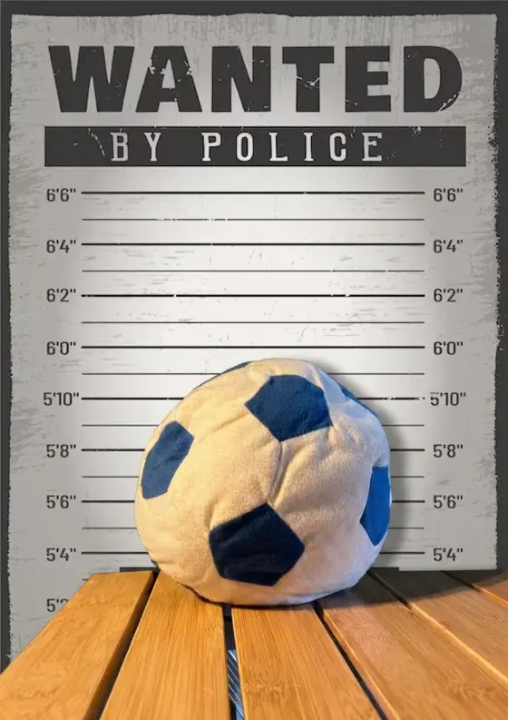 Arrestfoto: ukjent mistenkt