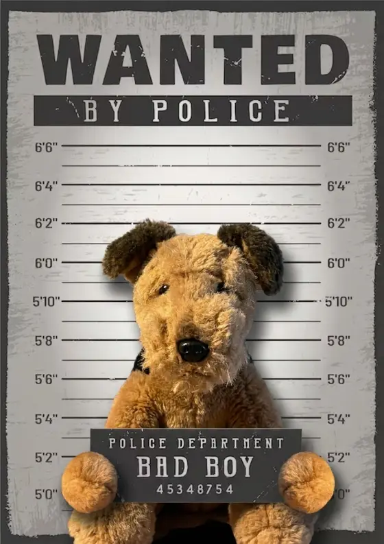 Arrestfoto: ukjent mistenkt