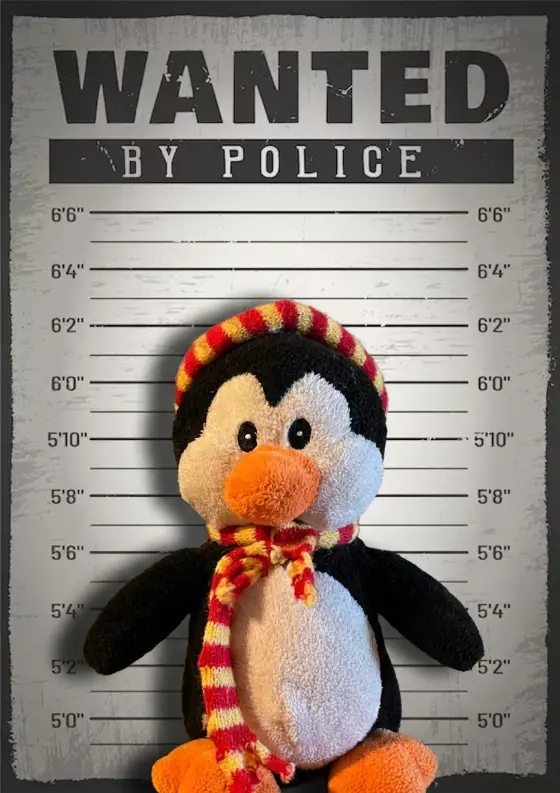 Arrestfoto: ukjent mistenkt