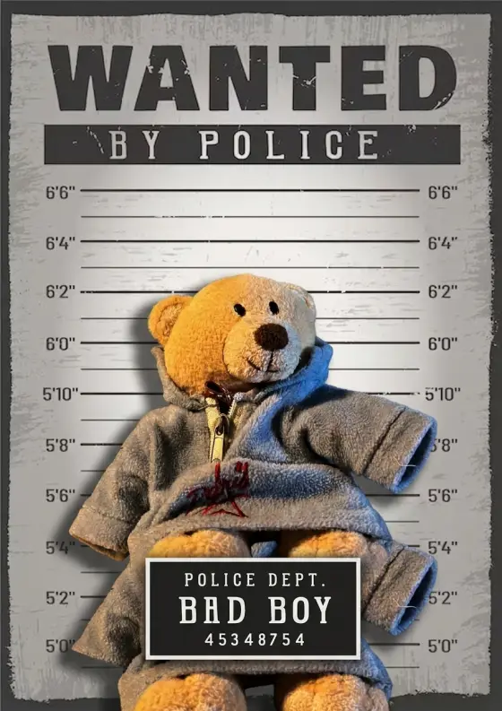 Arrestfoto: ukjent mistenkt