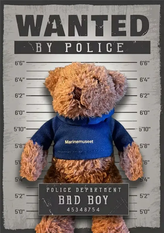 Arrestfoto: ukjent mistenkt