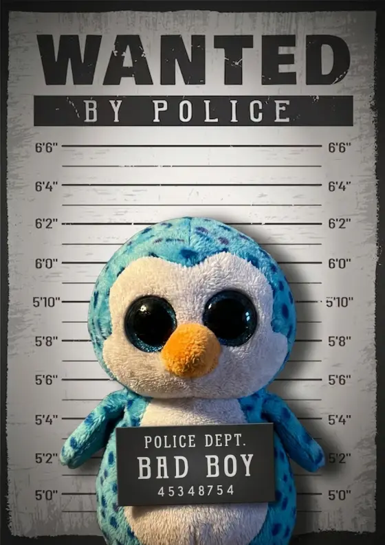 Arrestfoto: Sklibit (?)