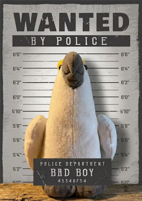 Arrestfoto: Papir