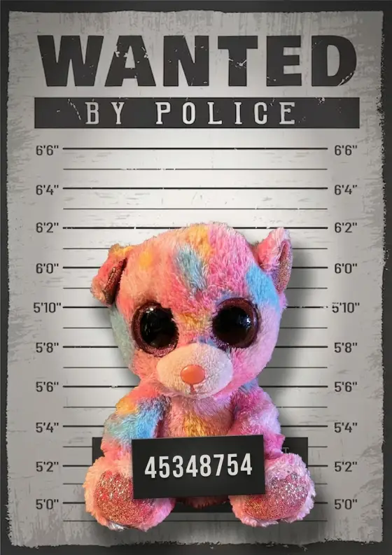 Arrestfoto: Minibjørnar