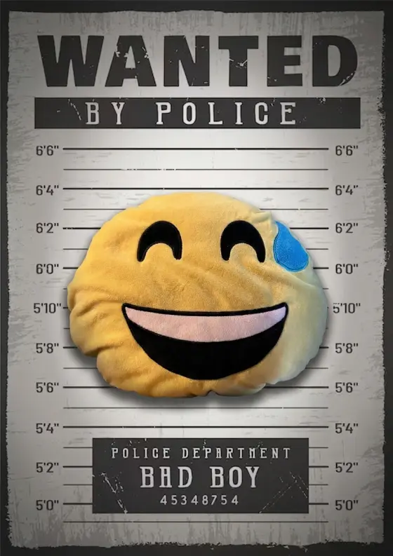Arrestfoto: Smiley