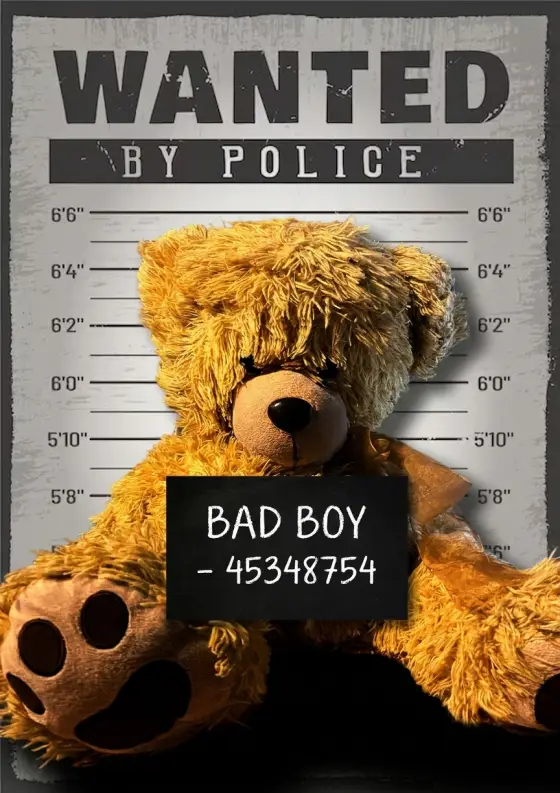 Arrestfoto: Store-teddy