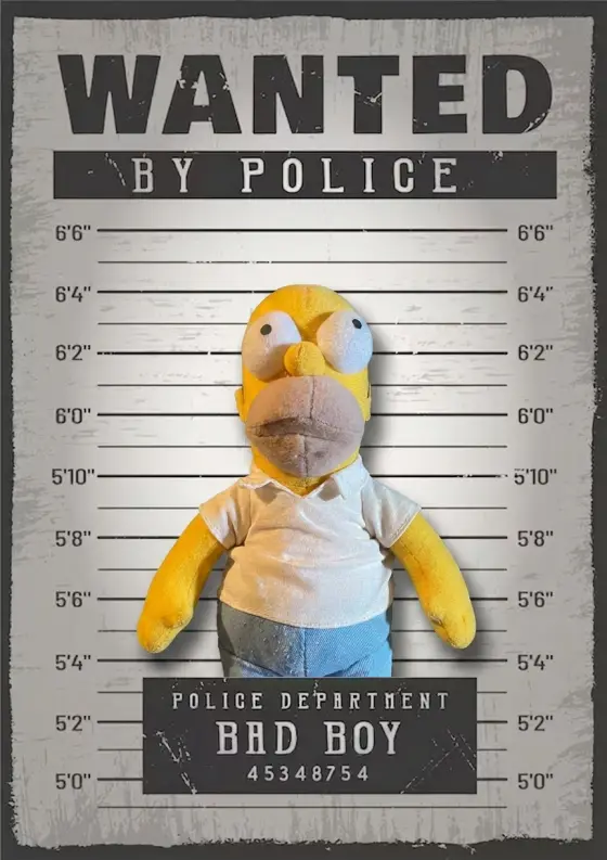Arrestfoto: Homer